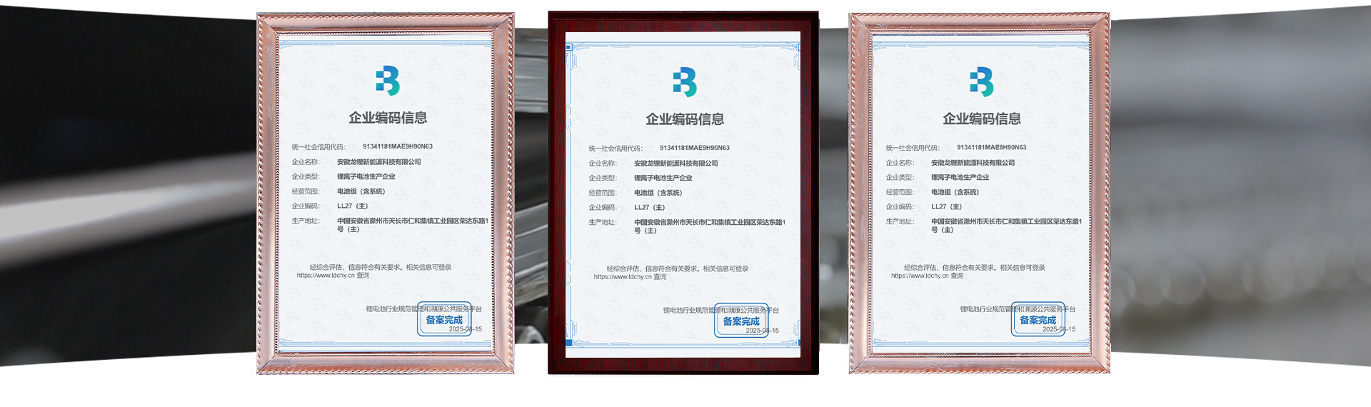 Anhui Longli New Energy Technology Co., Ltd.֤��
